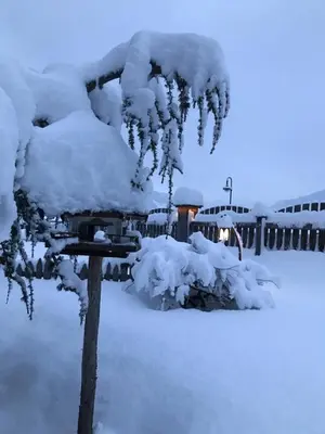 Ferienhaus Pfister im Winter