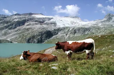 Naturlandschaft in der Nähe der Pension