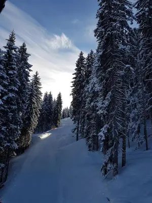 Hanslerfeld im Winter