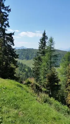 Naturlandschaft in der Nähe der Ferienwohnung