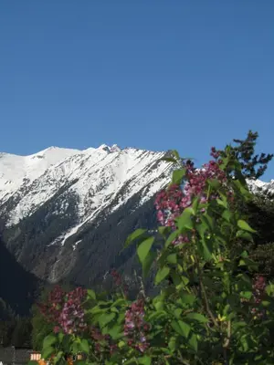 Ein allgemeiner Bergblick oder ein Berglick von der Ferienwohnung aus