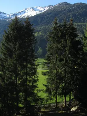 Naturlandschaft in der Nähe der Ferienwohnung