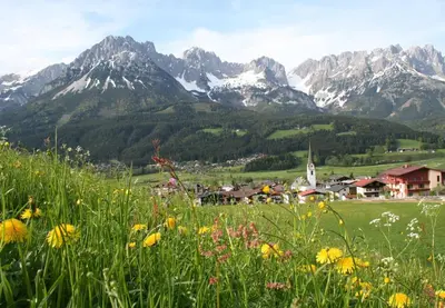 Naturlandschaft in der Nähe der Ferienwohnung