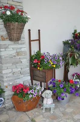 Ein Garten an der Unterkunft Apartment Wurnitsch