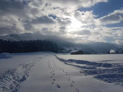 Naturlandschaft in der Nähe der Pension