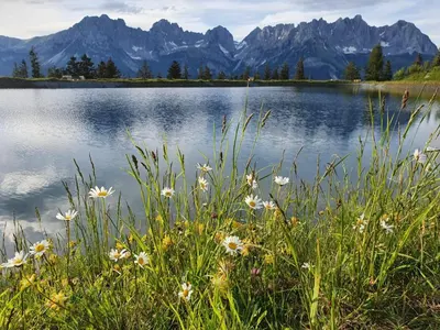 Naturlandschaft in der Nähe der Ferienwohnung