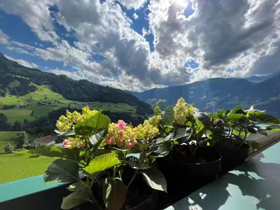 Naturlandschaft in der Nähe der Ferienwohnung