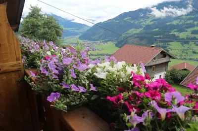 Ein allgemeiner Bergblick oder ein Berglick von der Ferienwohnung aus