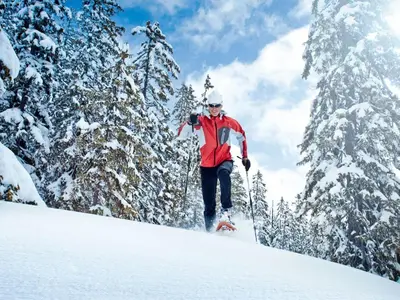 Chalet in Wald near Wildkogel Ski Arena im Winter