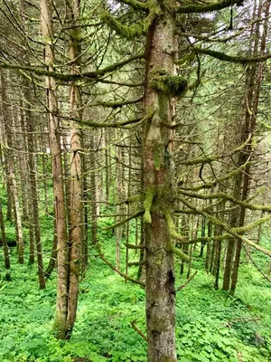 Naturlandschaft in der Nähe der Ferienwohnung