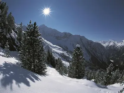 Naturlandschaft in der Nähe der Ferienwohnung