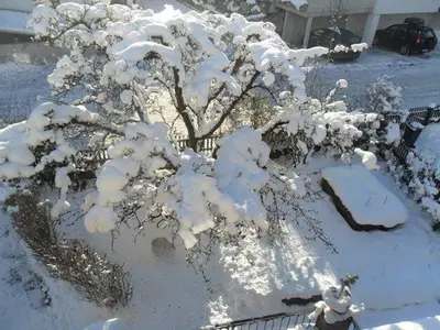 Haus Sabine Braunegger im Winter