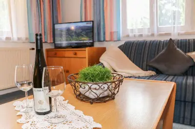 TV/Unterhaltungsangebot in der Unterkunft Haus Spieleck