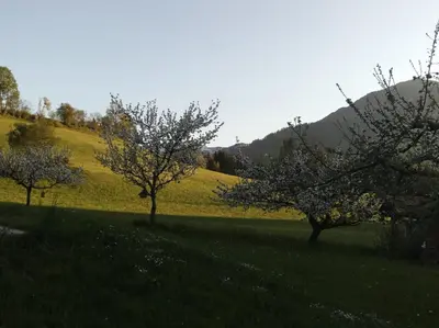Naturlandschaft in der Nähe des Bauernhofs