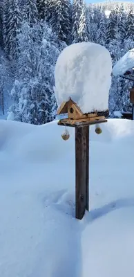 Haus Fichtenblick im Winter