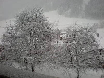 Pension Anderla im Winter