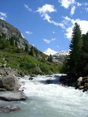 Naturlandschaft in der Nähe der Ferienwohnung