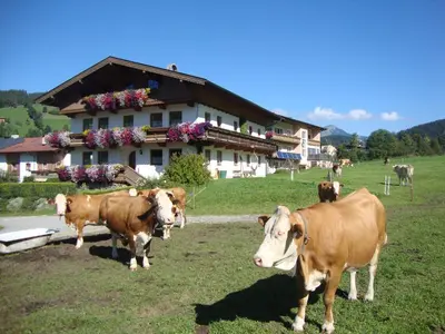 Grundriss der Unterkunft Sixenhof