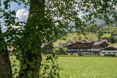 Naturlandschaft in der Nähe der Ferienwohnung