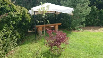 Ein Garten an der Unterkunft Exclusive Appartement Chalet