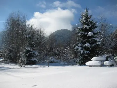 Apart Blassnig im Winter