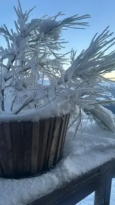 Hocheckhuette On Top of the Kitzbuehel Hahnenkamm Mountain im Winter