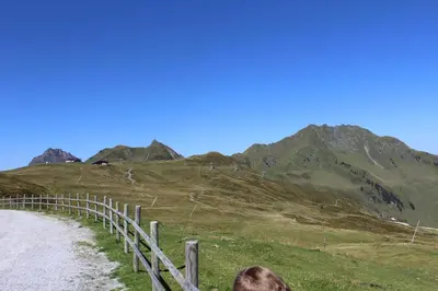 Naturlandschaft in der Nähe der Ferienwohnung