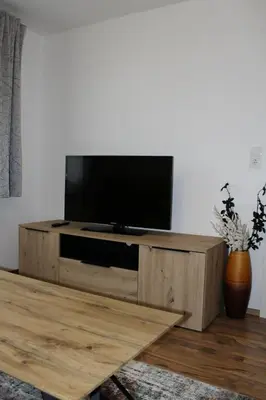 TV/Unterhaltungsangebot in der Unterkunft Apartment Seber