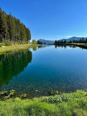 Naturlandschaft in der Nähe der Ferienwohnung