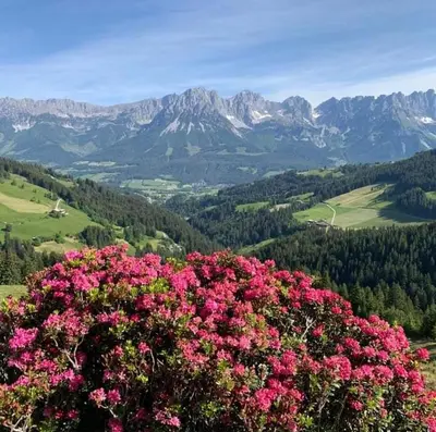 Naturlandschaft in der Nähe der Ferienwohnung