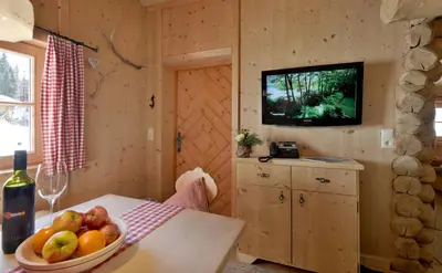 TV/Unterhaltungsangebot in der Unterkunft Almnest in Hochfügen mit privat SPA