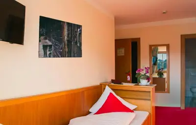 TV/Unterhaltungsangebot in der Unterkunft Hotel Simmerlwirt