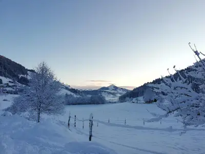 Pension Steinerhof im Winter