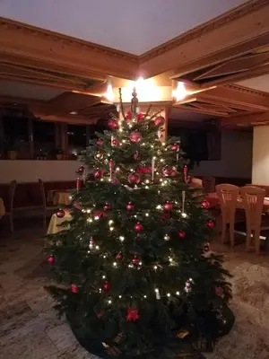 Grundriss der Unterkunft Pension Steinerhof