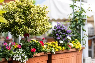 Ein Garten an der Unterkunft Apparthaus & Chalets Hofer