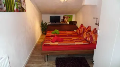 TV/Unterhaltungsangebot in der Unterkunft Apartment Edith Top 49