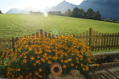 Ein allgemeiner Bergblick oder ein Berglick von der Ferienwohnung aus