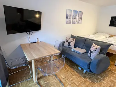 TV/Unterhaltungsangebot in der Unterkunft Appartement Comfy