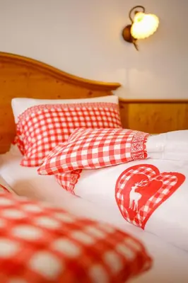 Grundriss der Unterkunft Hotel Edelweiss