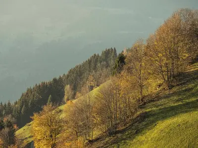 Naturlandschaft in der Nähe der Ferienwohnung