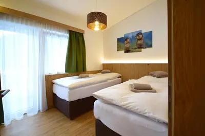 Ein Bett oder Betten in einem Zimmer der Unterkunft Waidmannsruh Appartements