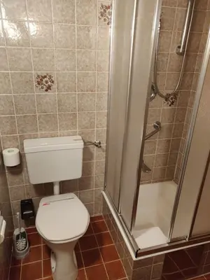 Ein Badezimmer in der Unterkunft Pension Eder - Joker card included in summer