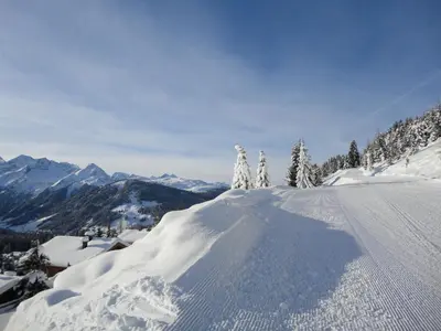 Ferienwohnungen LANG - Ski & Mountain Apartments im Winter