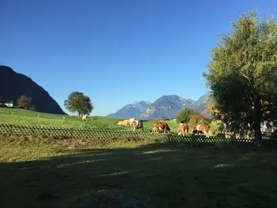 Naturlandschaft in der Nähe des Ferienhauses