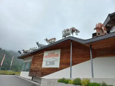 Das Gebäude in dem sich die Ferienwohnung befindet