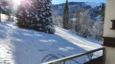 Berghof Appartement 11 im Winter