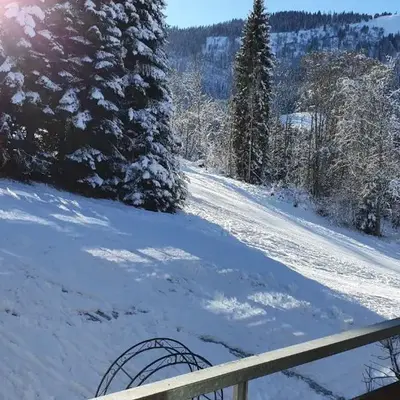 Berghof Appartement 11