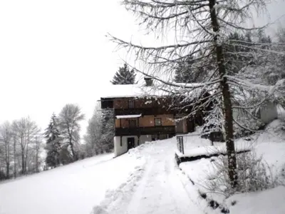 Holiday home in Mühlbach im Pinzgau 35597 im Winter