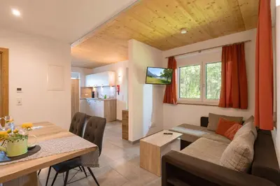 TV/Unterhaltungsangebot in der Unterkunft AW - Apartment Wilder Kaiser