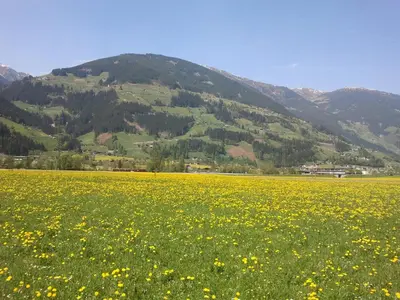 Naturlandschaft in der Nähe der Ferienwohnung